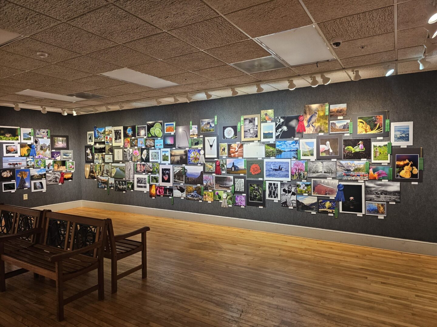 2025 Spectacular Photo Show 2025 Show